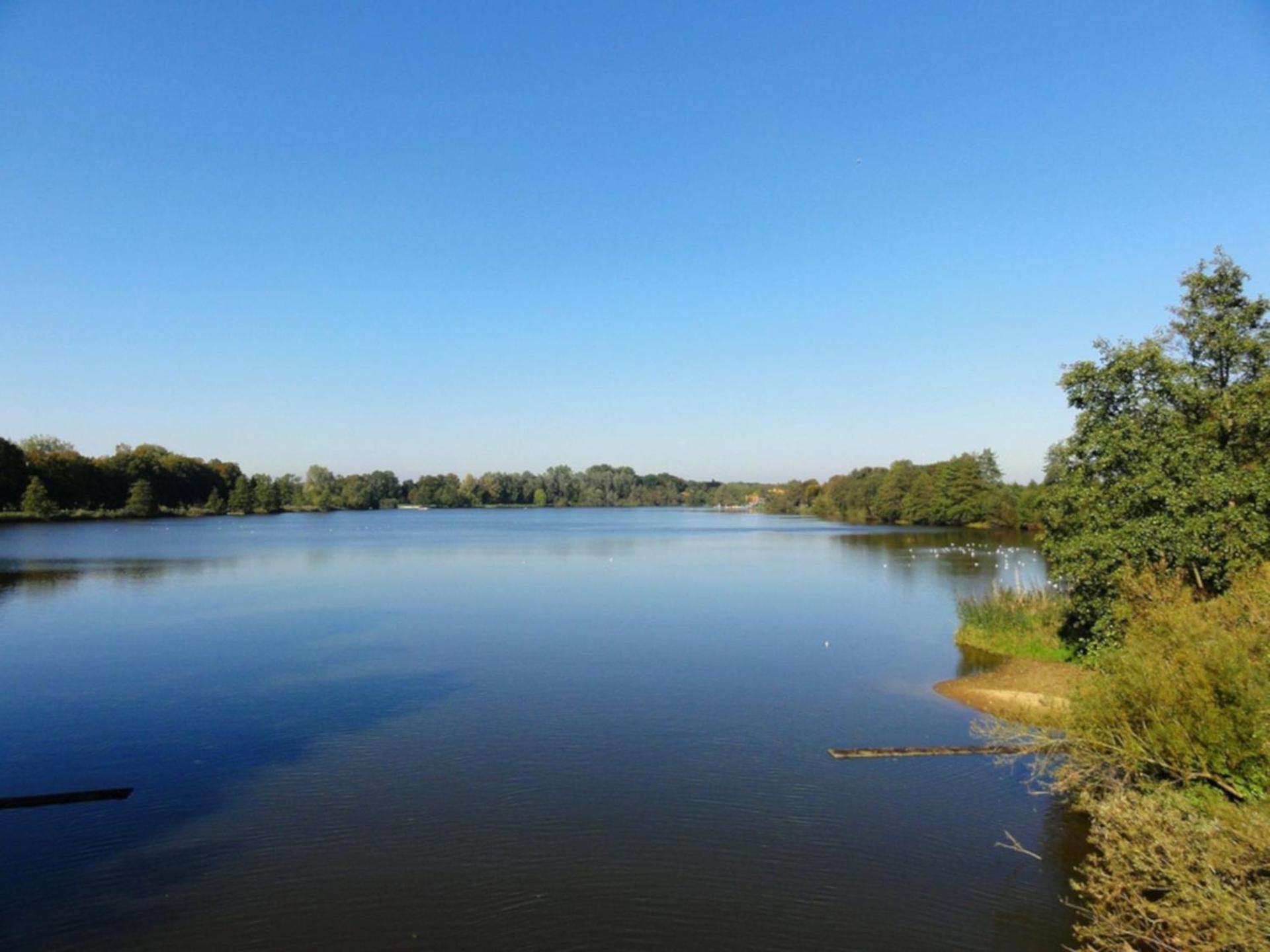 Villa Nordwind - Nordhorn Esterno foto